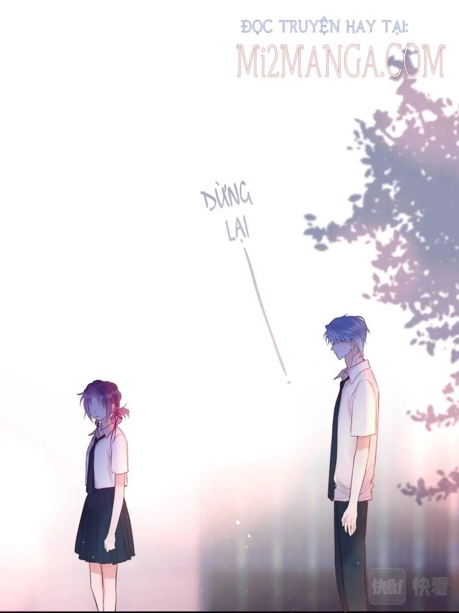 Cạm Bẫy Của Hồ Ly Chapter 20 - 40