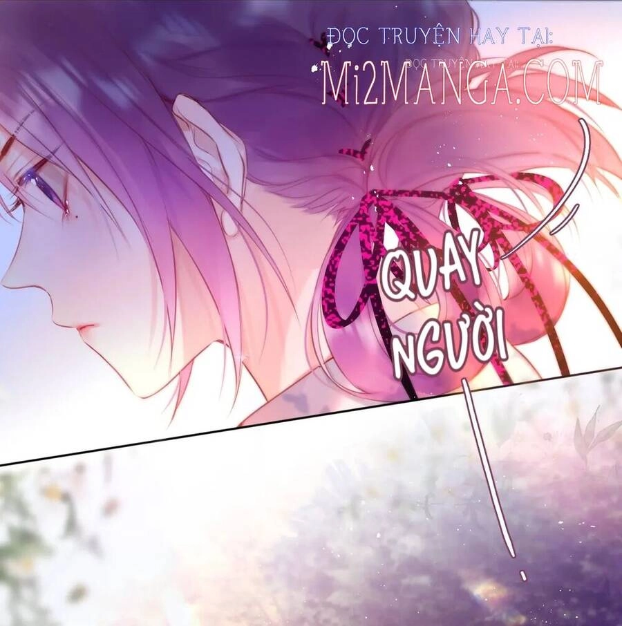 Cạm Bẫy Của Hồ Ly Chapter 20 - 41