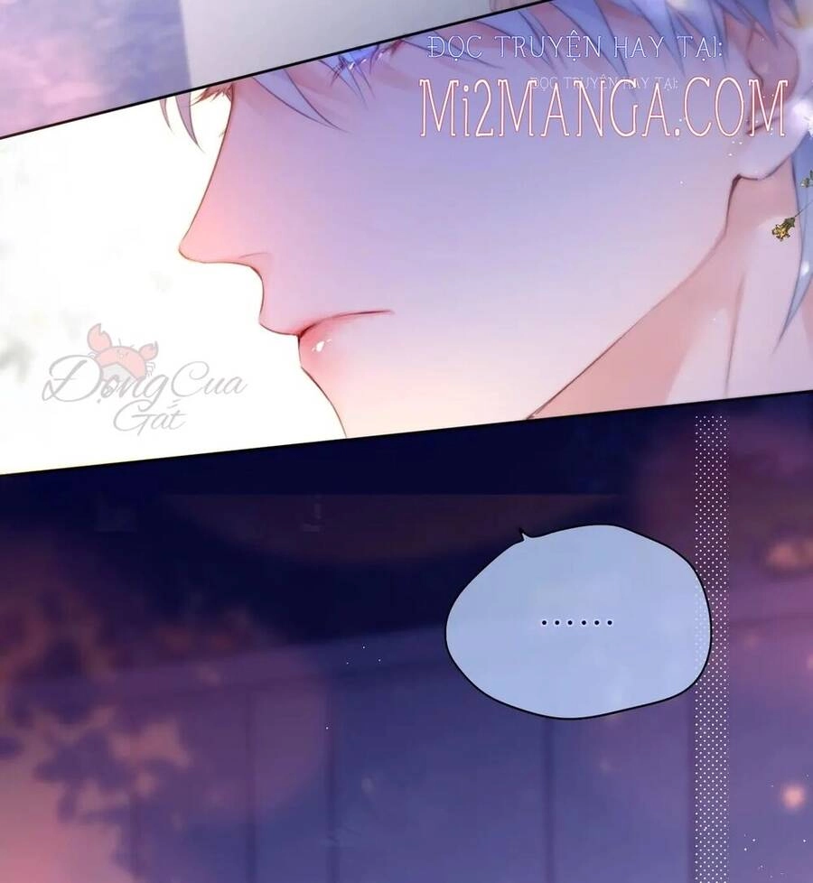 Cạm Bẫy Của Hồ Ly Chapter 20 - 43