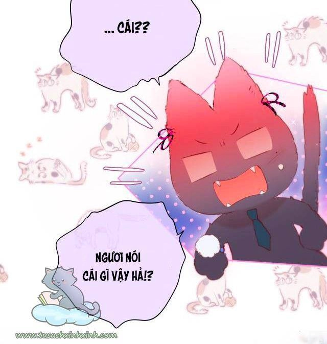 Cạm Bẫy Của Hồ Ly Chapter 22 - 12