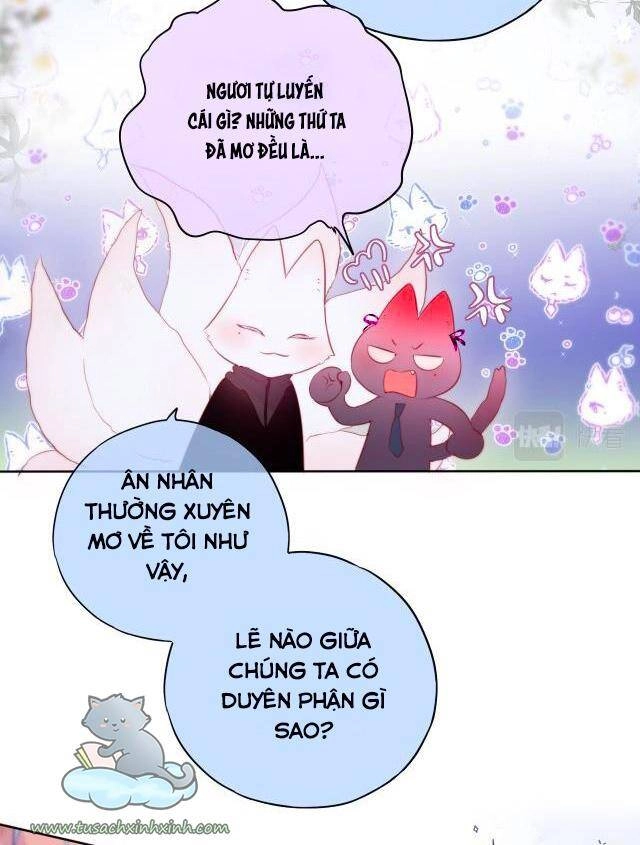 Cạm Bẫy Của Hồ Ly Chapter 22 - 14