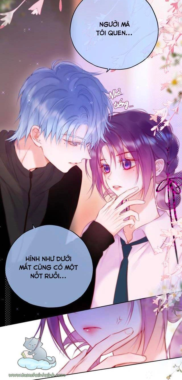 Cạm Bẫy Của Hồ Ly Chapter 22 - 16
