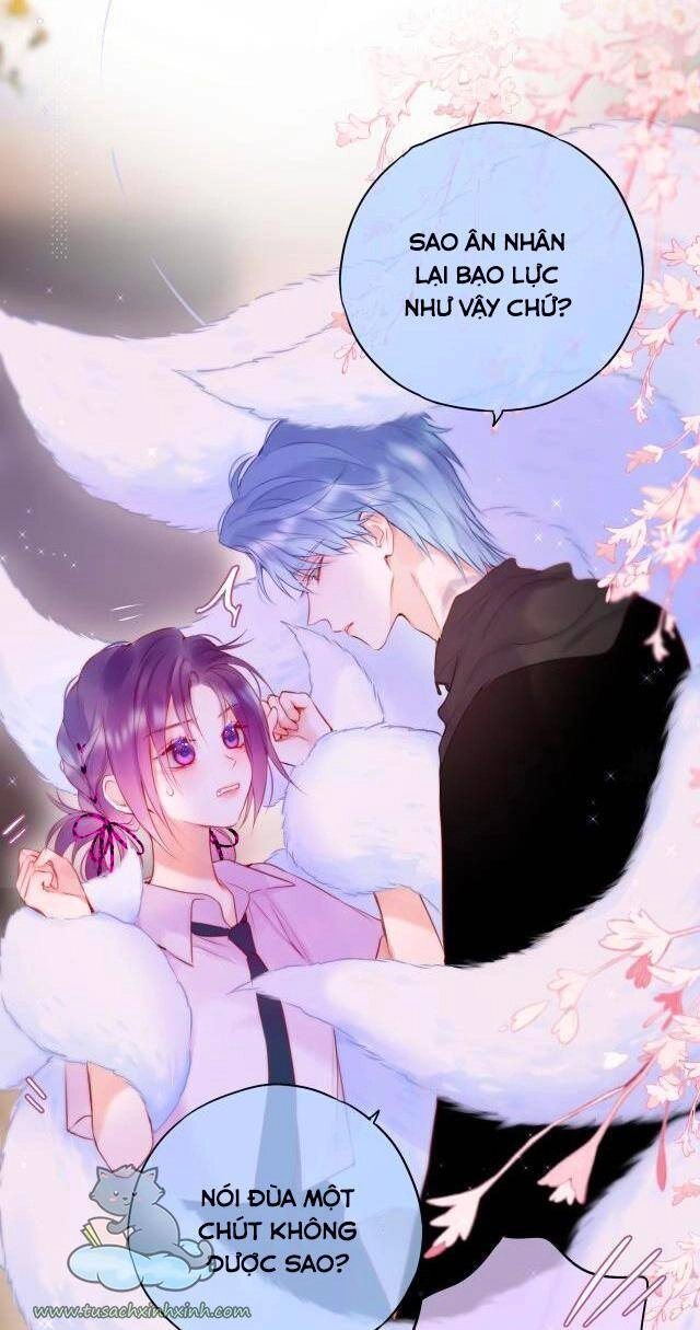 Cạm Bẫy Của Hồ Ly Chapter 22 - 19