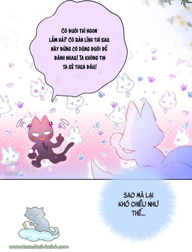 Cạm Bẫy Của Hồ Ly Chapter 22 - 29