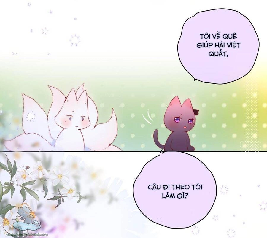 Cạm Bẫy Của Hồ Ly Chapter 23 - 8