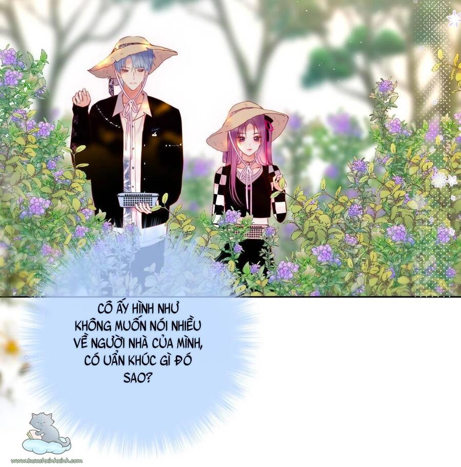 Cạm Bẫy Của Hồ Ly Chapter 23 - 19