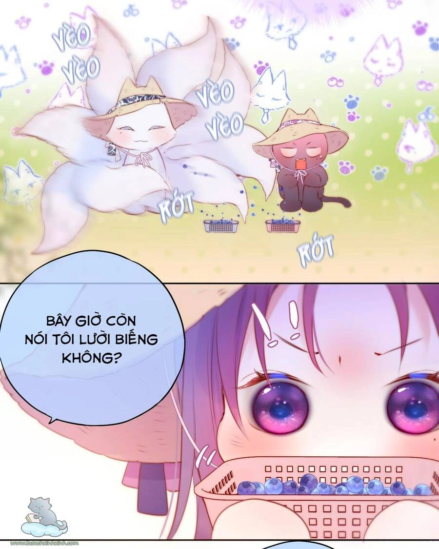 Cạm Bẫy Của Hồ Ly Chapter 23 - 22