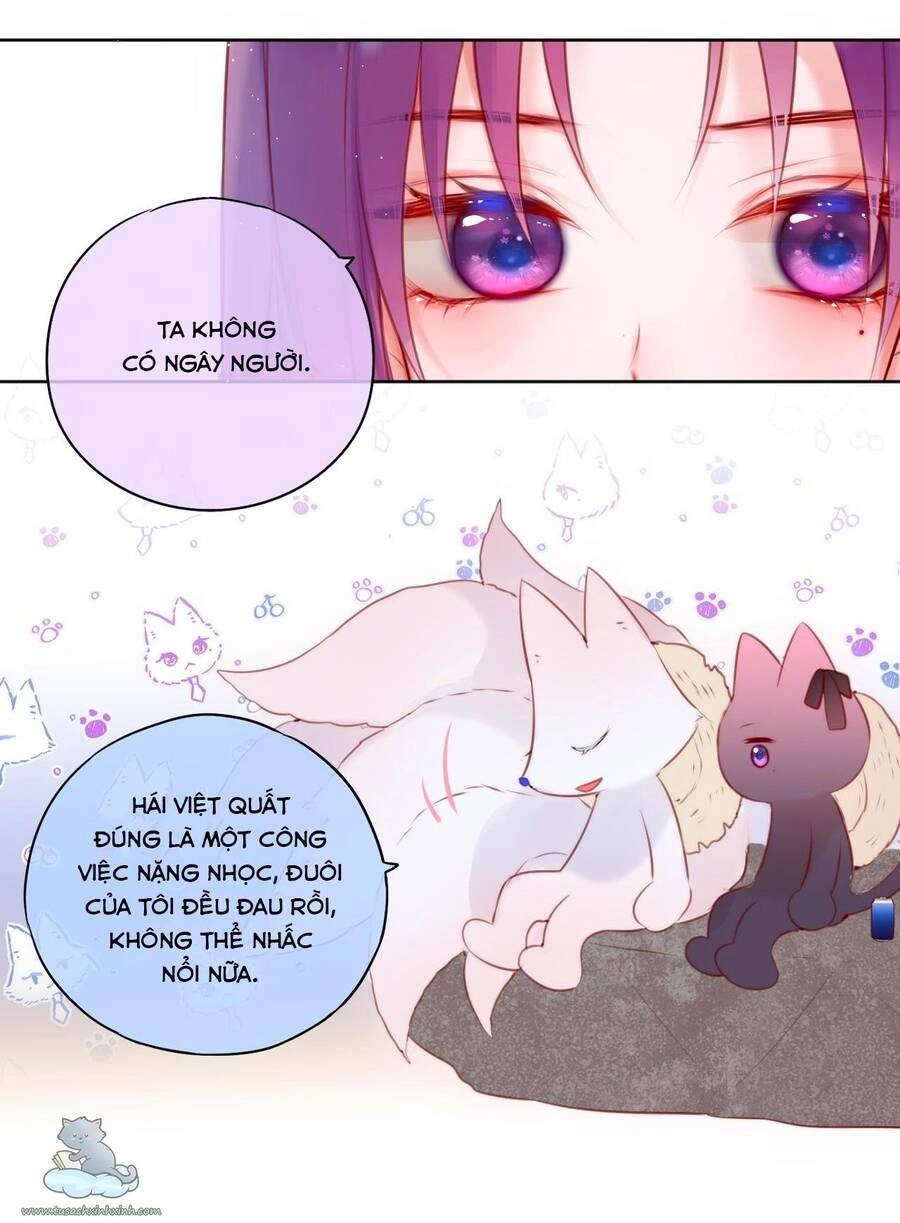 Cạm Bẫy Của Hồ Ly Chapter 23 - 34