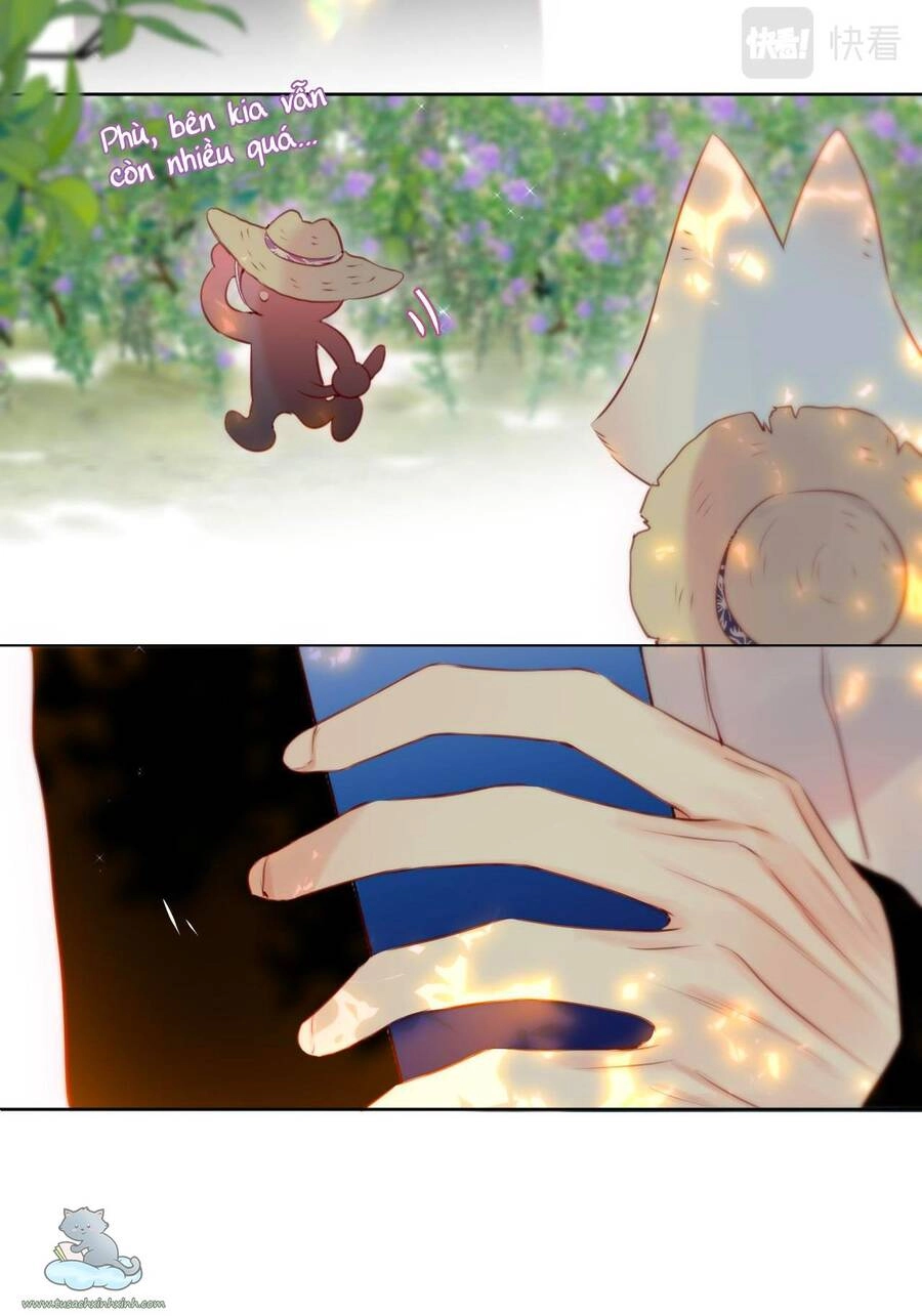 Cạm Bẫy Của Hồ Ly Chapter 23 - 39