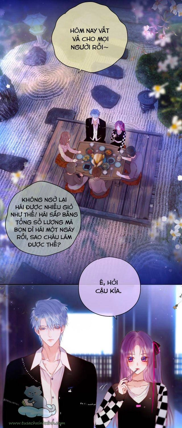 Cạm Bẫy Của Hồ Ly Chapter 24 - 3