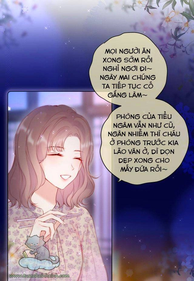 Cạm Bẫy Của Hồ Ly Chapter 24 - 5