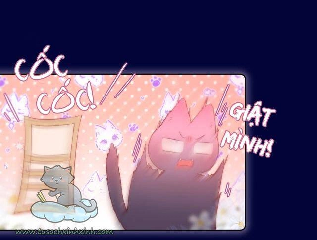 Cạm Bẫy Của Hồ Ly Chapter 24 - 10