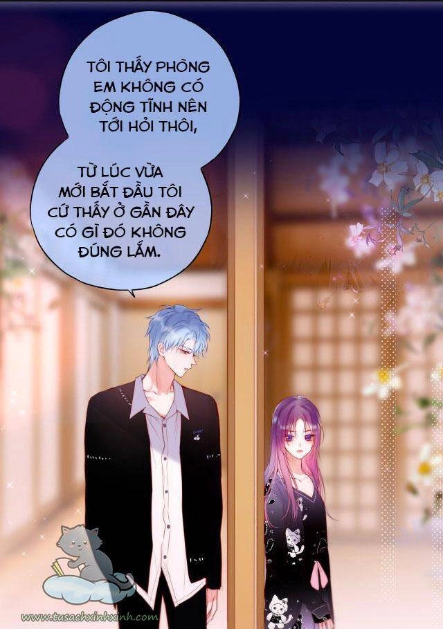 Cạm Bẫy Của Hồ Ly Chapter 24 - 13