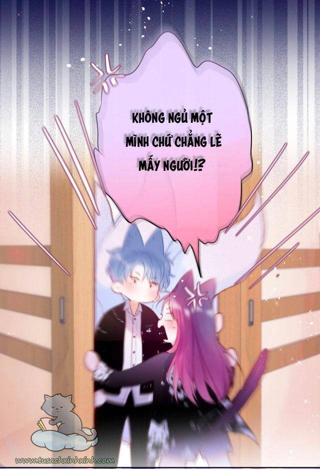 Cạm Bẫy Của Hồ Ly Chapter 24 - 27