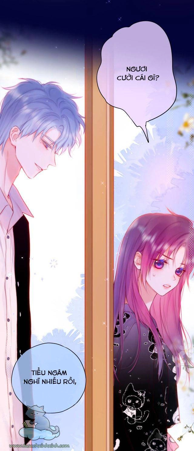 Cạm Bẫy Của Hồ Ly Chapter 24 - 31