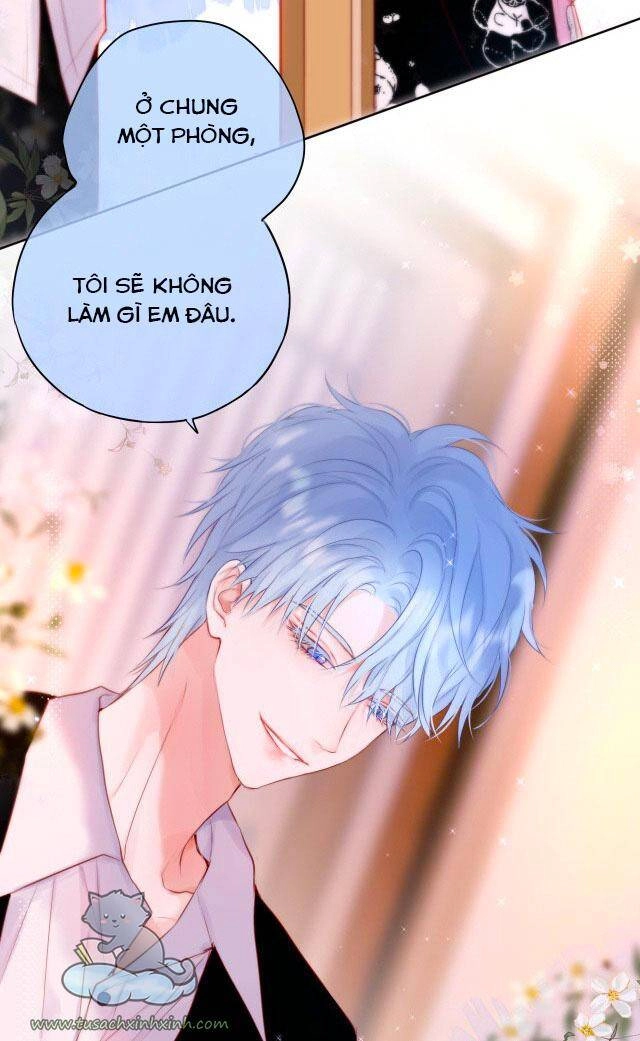 Cạm Bẫy Của Hồ Ly Chapter 24 - 32