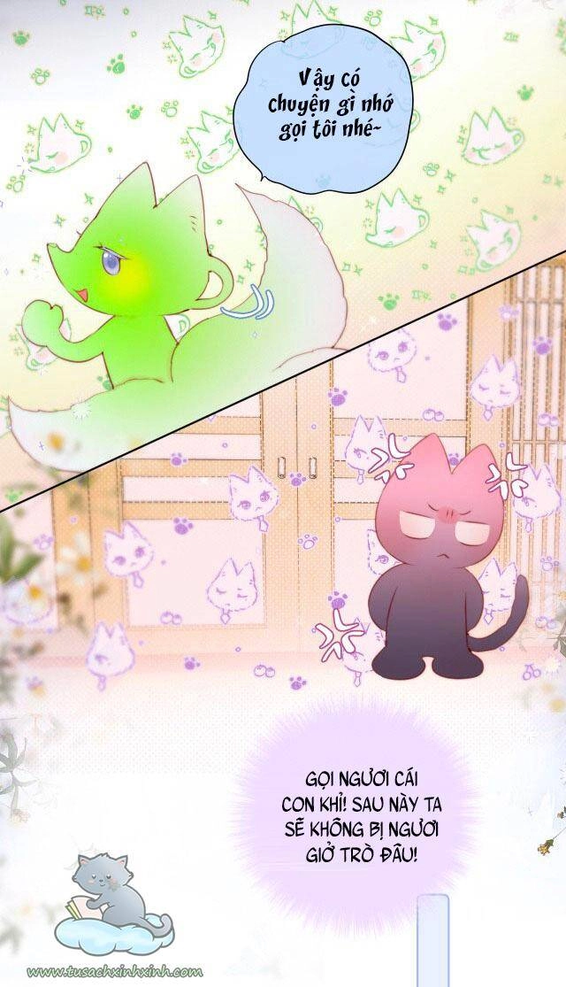 Cạm Bẫy Của Hồ Ly Chapter 24 - 34