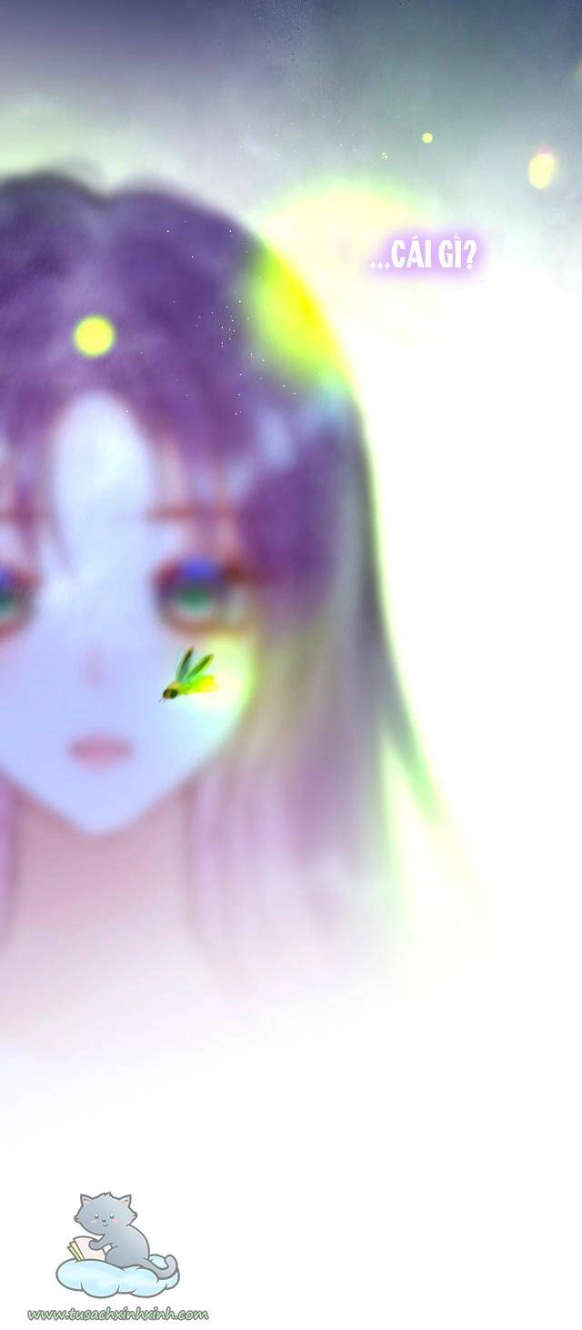 Cạm Bẫy Của Hồ Ly Chapter 24 - 42