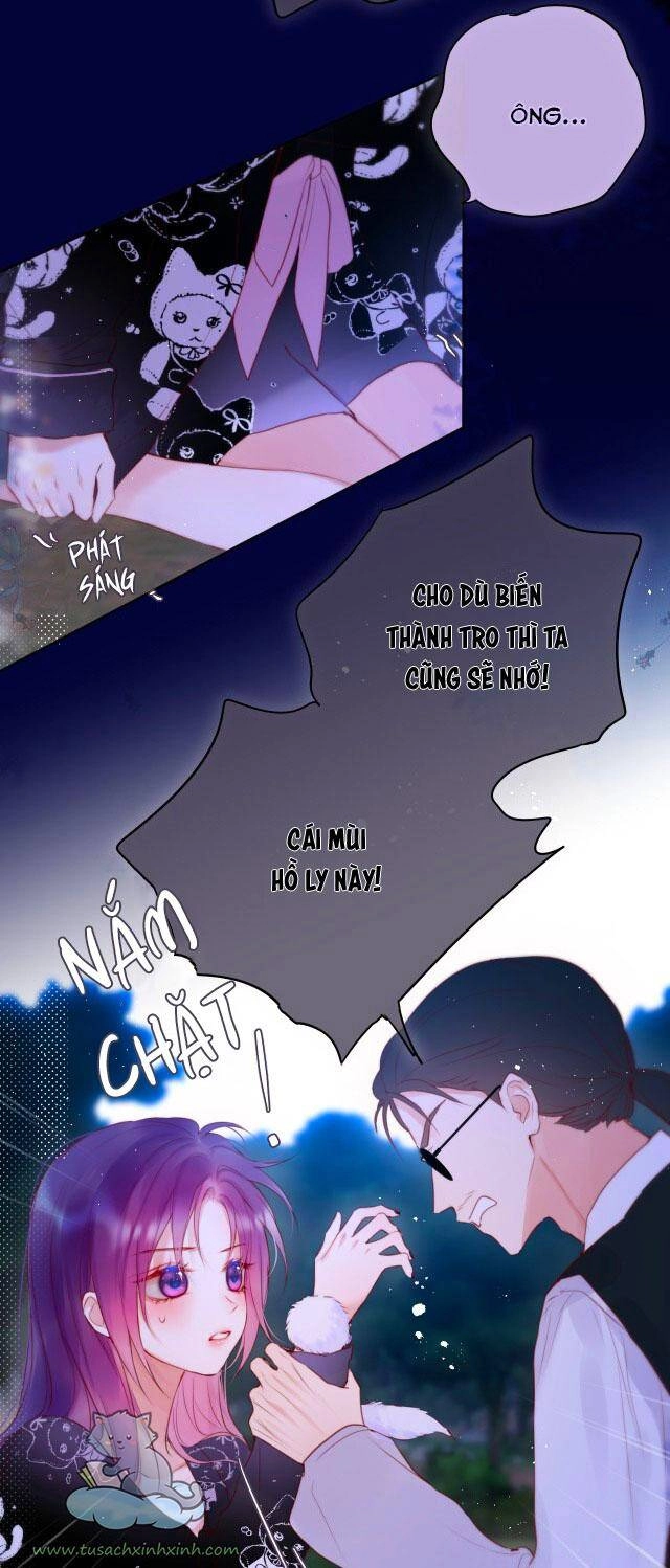 Cạm Bẫy Của Hồ Ly Chapter 26 - 5