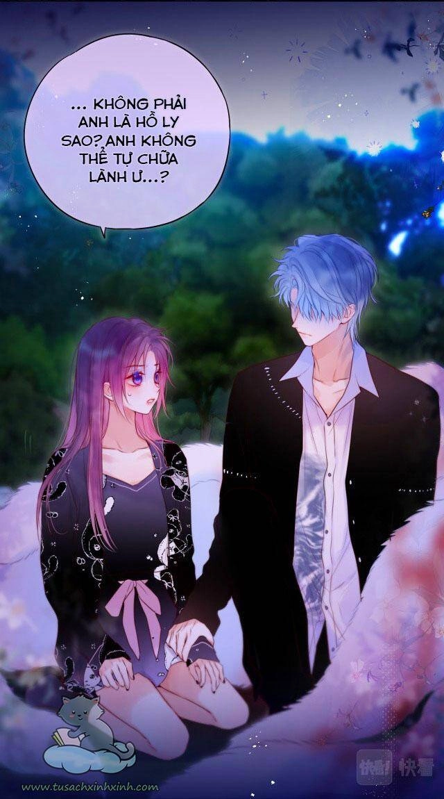 Cạm Bẫy Của Hồ Ly Chapter 28 - 11