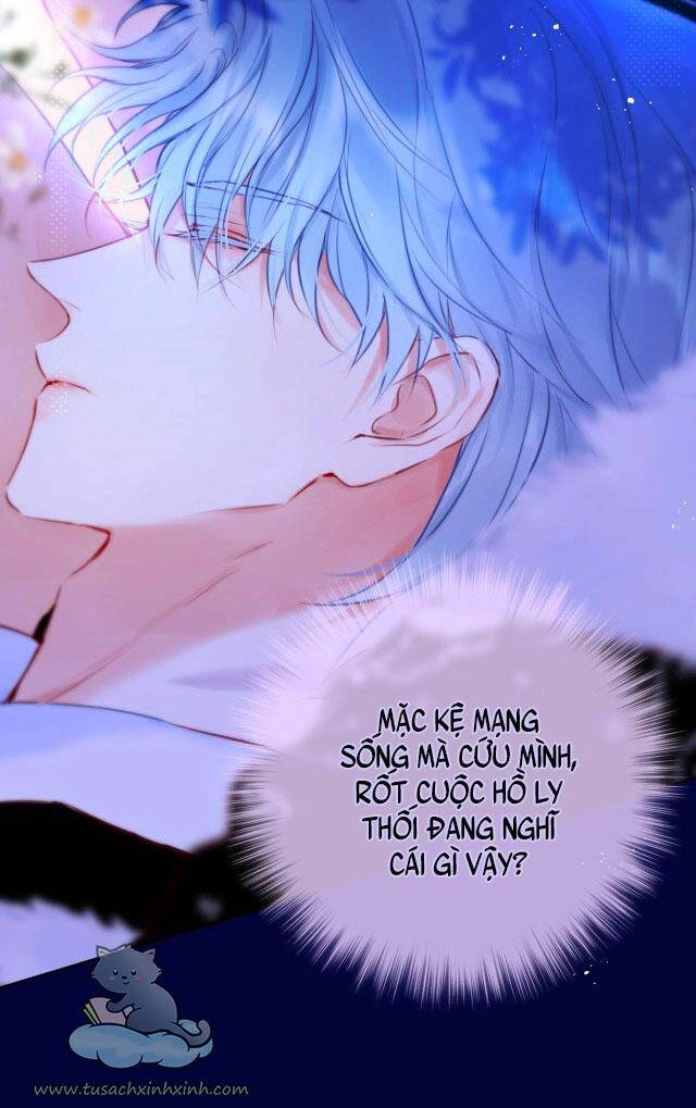 Cạm Bẫy Của Hồ Ly Chapter 28 - 24