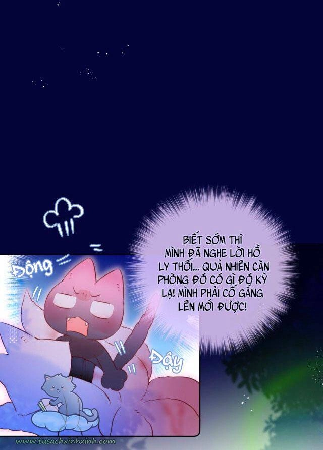 Cạm Bẫy Của Hồ Ly Chapter 28 - 28