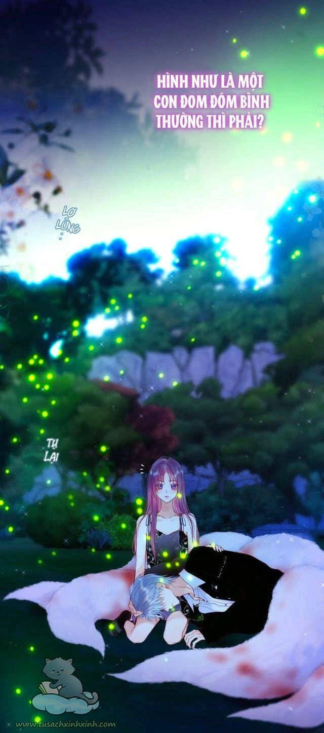 Cạm Bẫy Của Hồ Ly Chapter 28 - 35