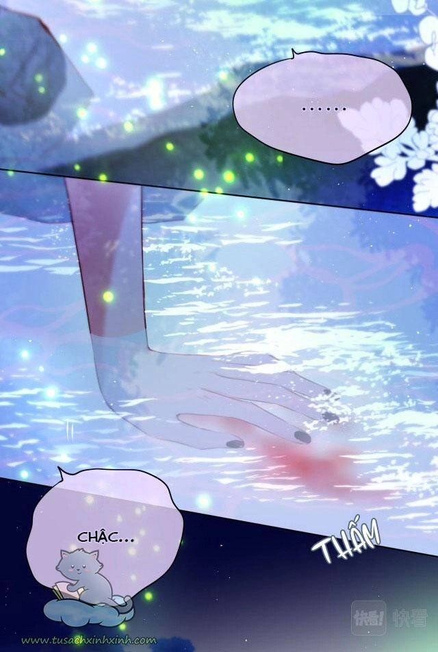 Cạm Bẫy Của Hồ Ly Chapter 29 - 17