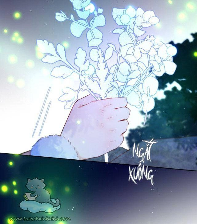 Cạm Bẫy Của Hồ Ly Chapter 29 - 19