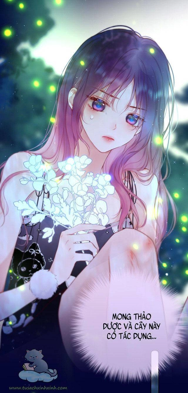 Cạm Bẫy Của Hồ Ly Chapter 29 - 20