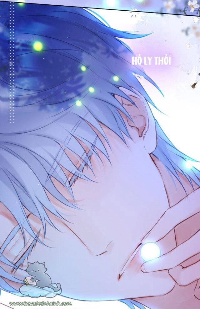 Cạm Bẫy Của Hồ Ly Chapter 29 - 24