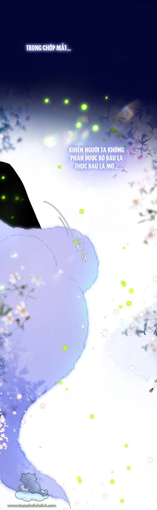 Cạm Bẫy Của Hồ Ly Chapter 29 - 28