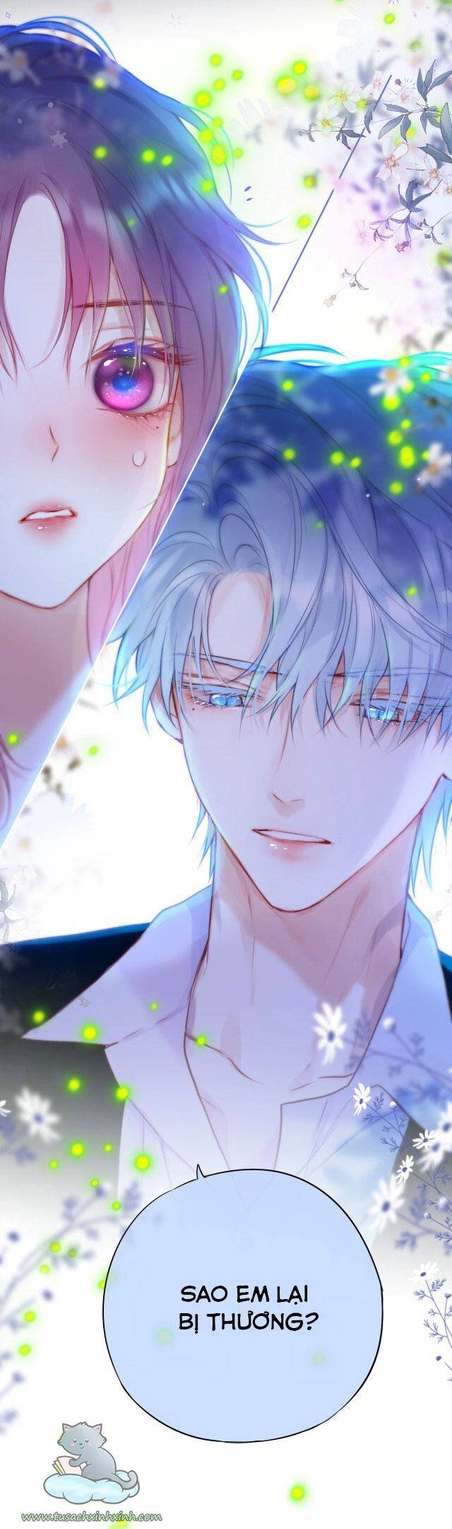 Cạm Bẫy Của Hồ Ly Chapter 29 - 35