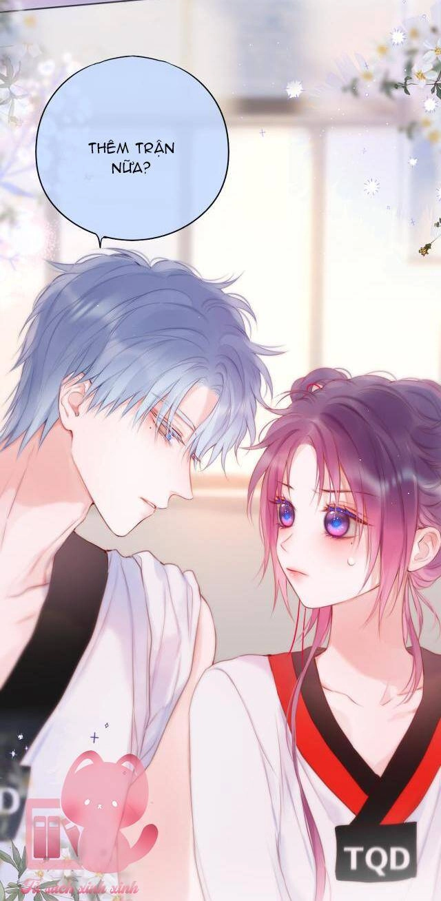 Cạm Bẫy Của Hồ Ly Chapter 33 - 20