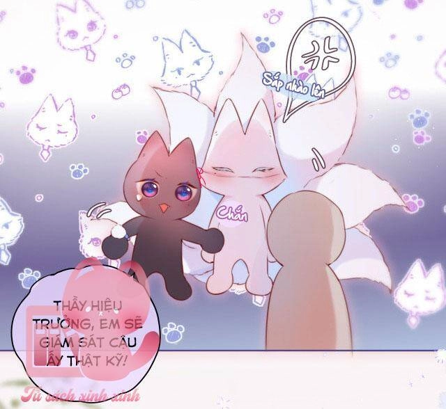 Cạm Bẫy Của Hồ Ly Chapter 34 - 31