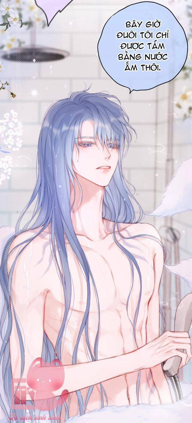 Cạm Bẫy Của Hồ Ly Chapter 35 - 43