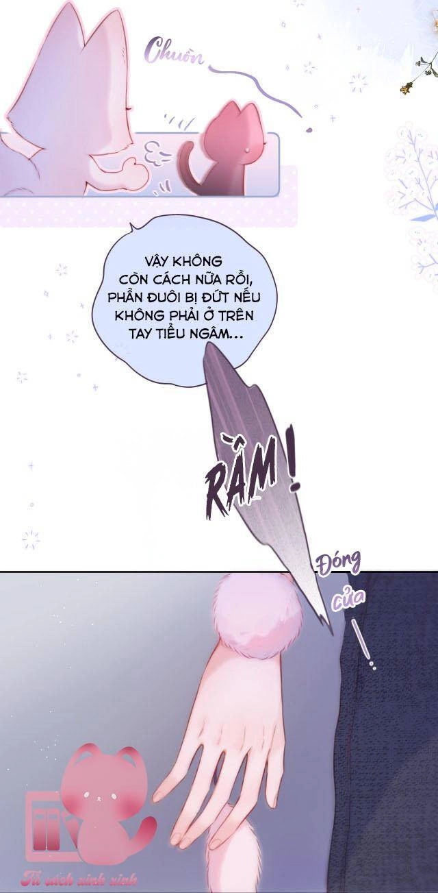 Cạm Bẫy Của Hồ Ly Chapter 37 - 21