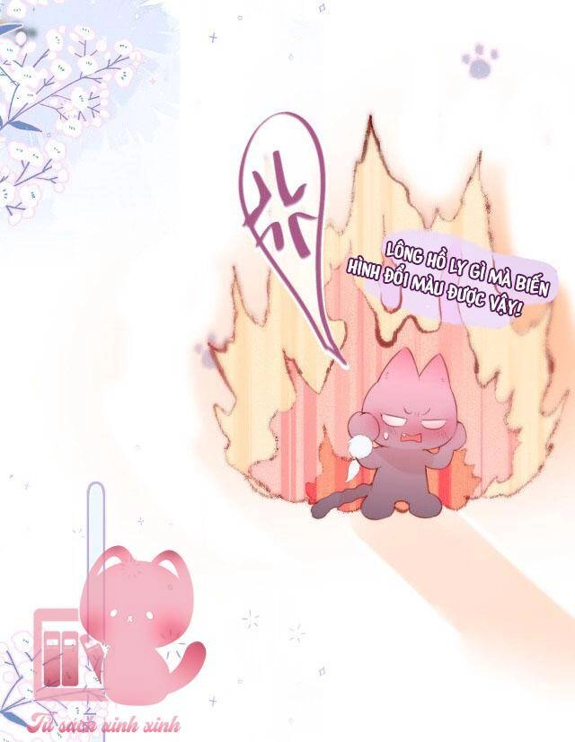 Cạm Bẫy Của Hồ Ly Chapter 37 - 25