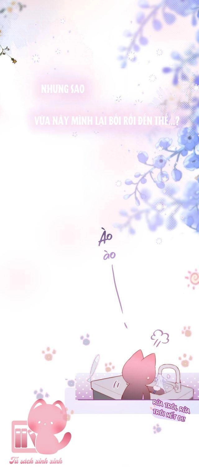 Cạm Bẫy Của Hồ Ly Chapter 37 - 27