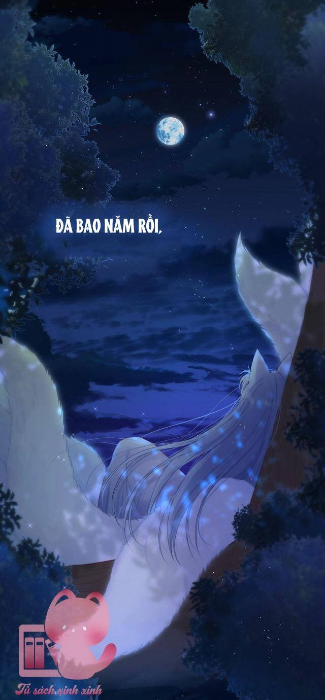 Cạm Bẫy Của Hồ Ly Chapter 37 - 31