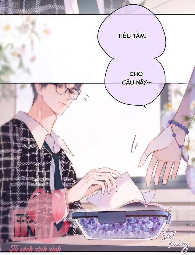 Cạm Bẫy Của Hồ Ly Chapter 38 - 15