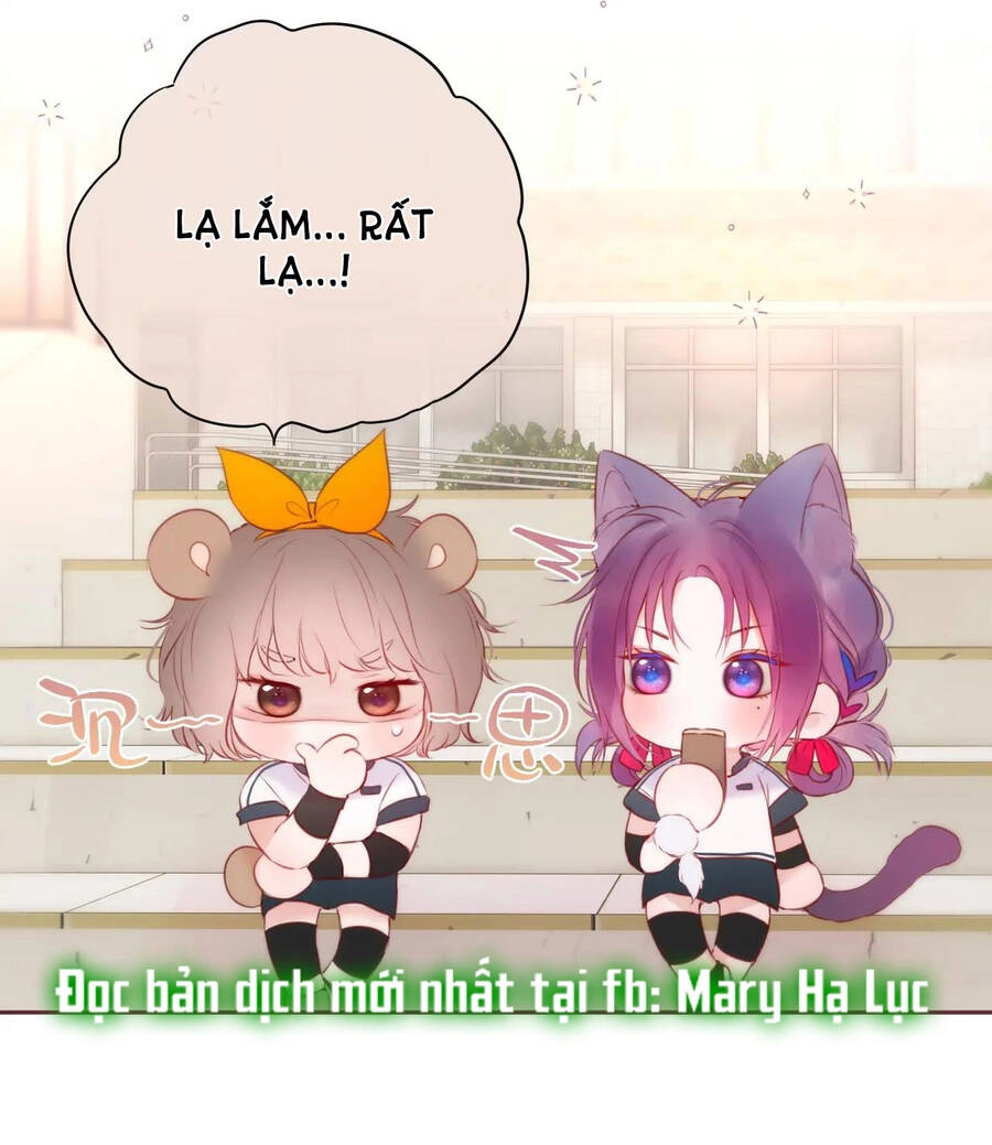 Cạm Bẫy Của Hồ Ly Chapter 39.2 - 22