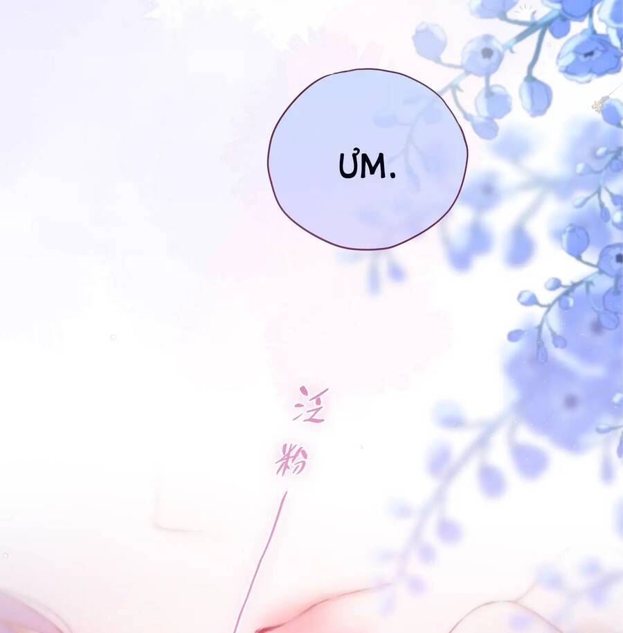 Cạm Bẫy Của Hồ Ly Chapter 41.2 - 23