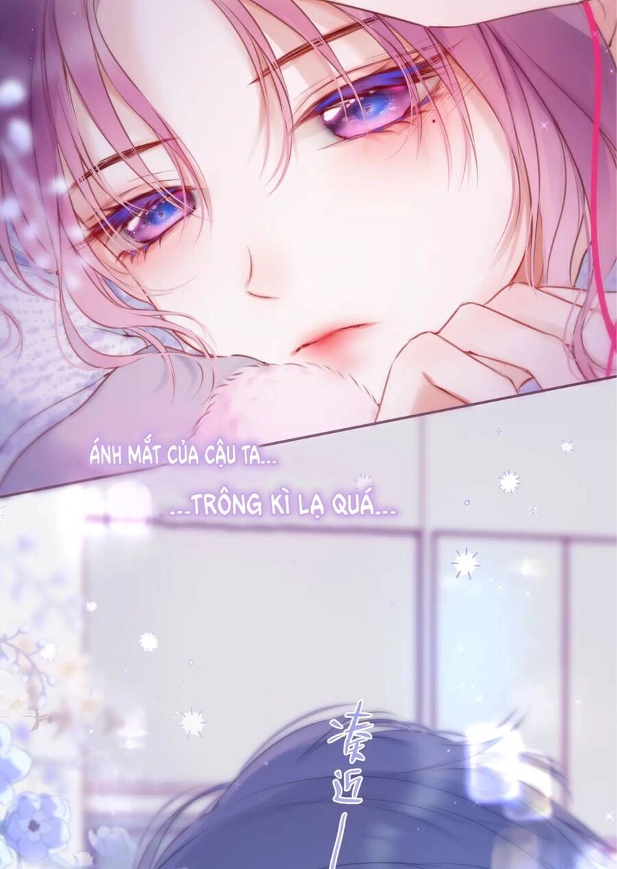 Cạm Bẫy Của Hồ Ly Chapter 41.2 - 28