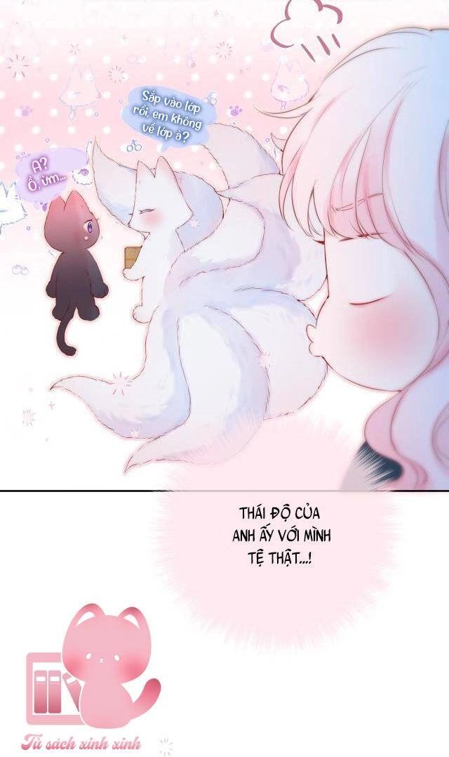 Cạm Bẫy Của Hồ Ly Chapter 44 - 20