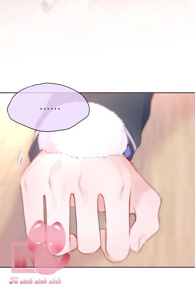 Cạm Bẫy Của Hồ Ly Chapter 45 - 20