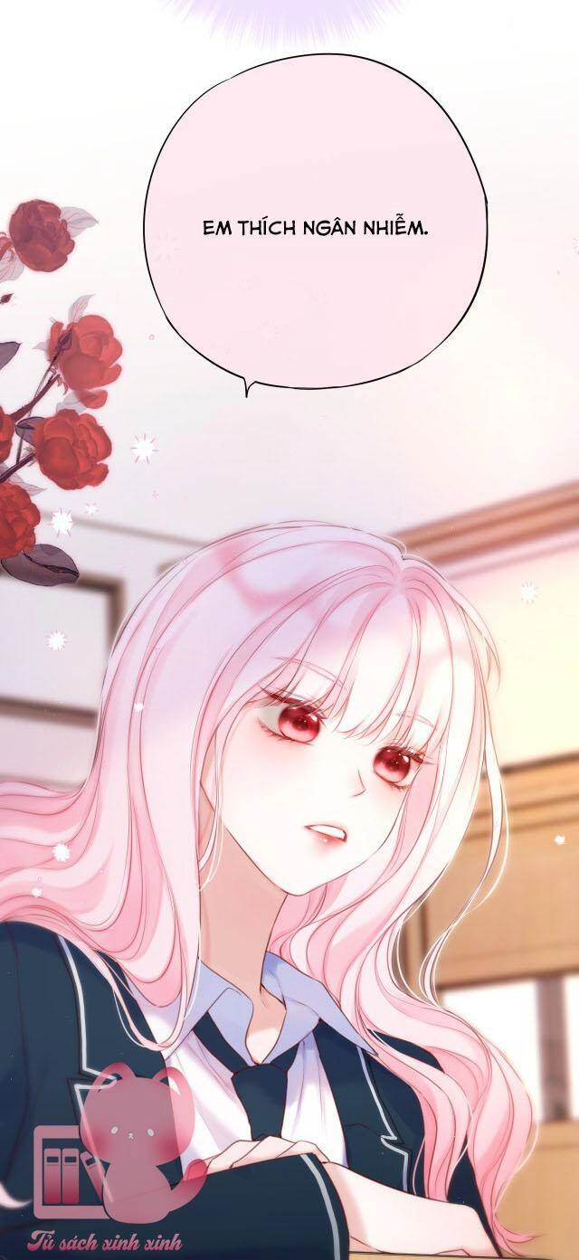 Cạm Bẫy Của Hồ Ly Chapter 45 - 24