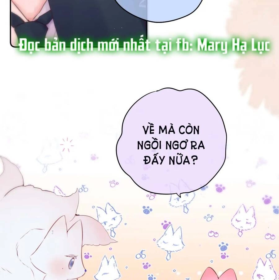 Cạm Bẫy Của Hồ Ly Chapter 47 - 29