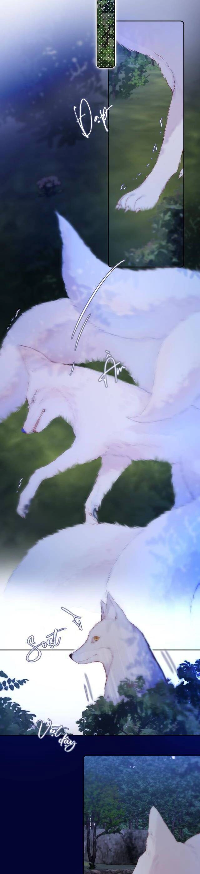 Cạm Bẫy Của Hồ Ly Chapter 50 - 3