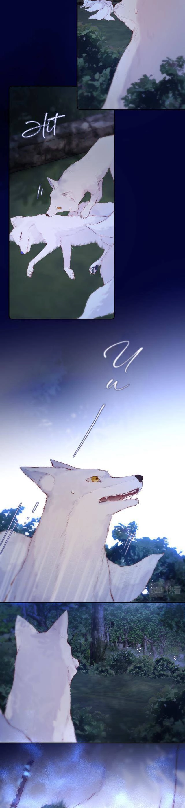 Cạm Bẫy Của Hồ Ly Chapter 50 - 4